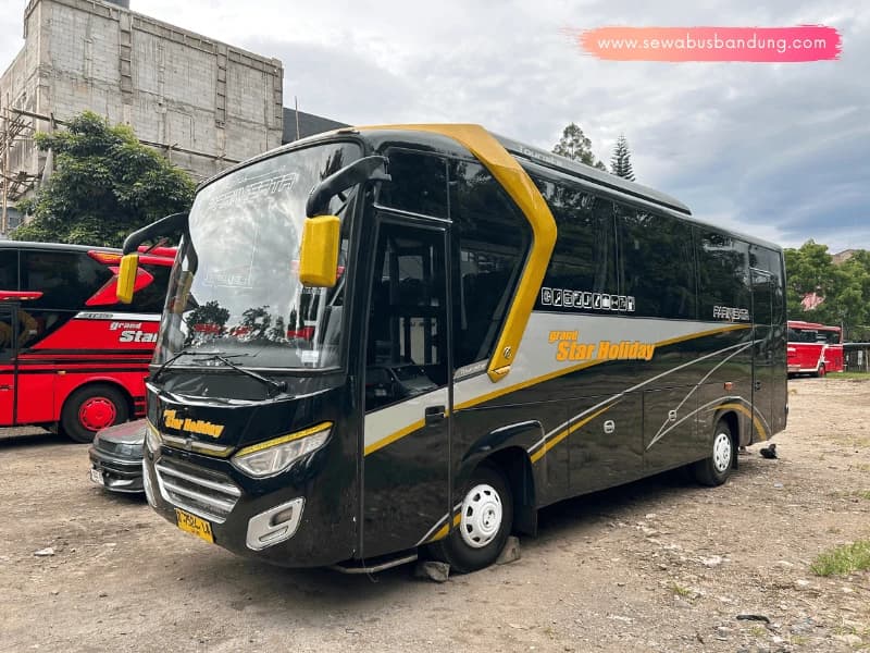 Medium Bus car rental in Batam